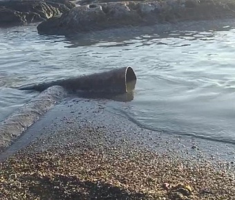 Росприроднадзор требует от МУП «Горводоканал» г. Избербаш выплатить 7 млн рублей за ущерб Каспийскому морю